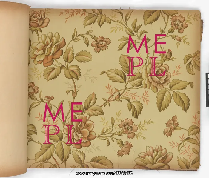: Page from New Artistic Wall Papers : Page from New Artistic Wall Papers