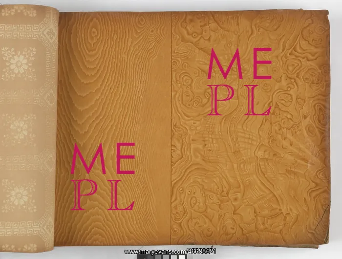 : Page from New Artistic Wall Papers : Page from New Artistic Wall Papers