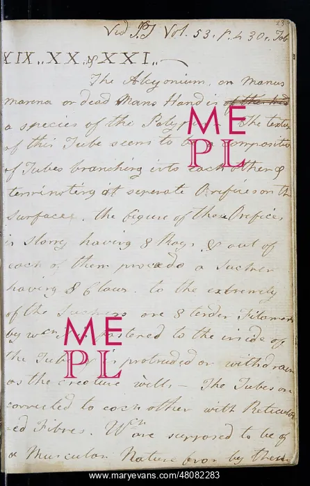 : Page from the original notebook of George Cayley : Page from the original notebook of George Cayley