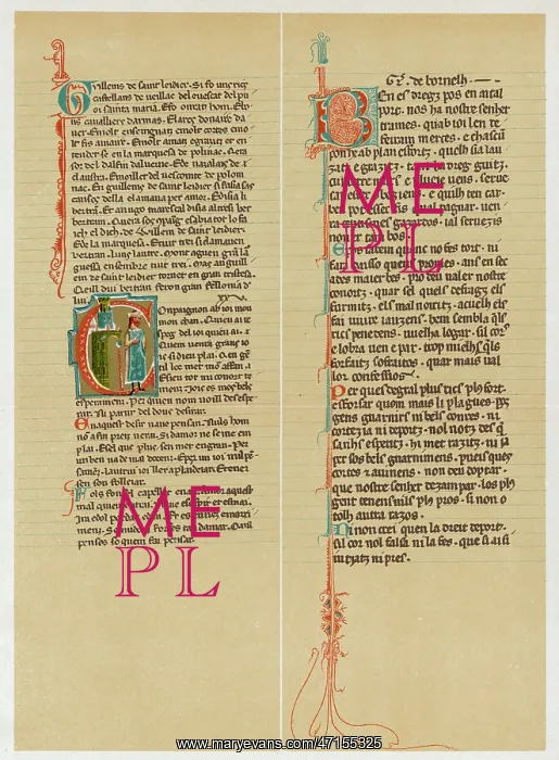 : Page from a Troubadour poem : Page from a Troubadour poem