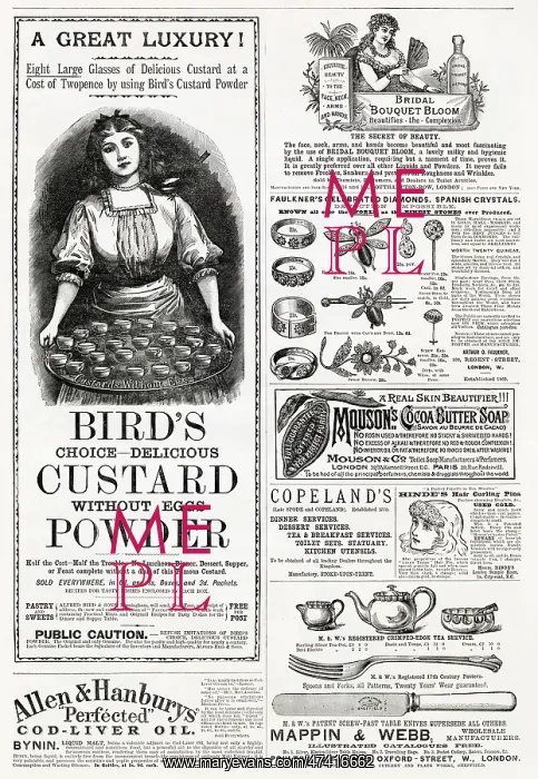 : Page of Victorian adverts - 1889 : Page of Victorian adverts - 1889