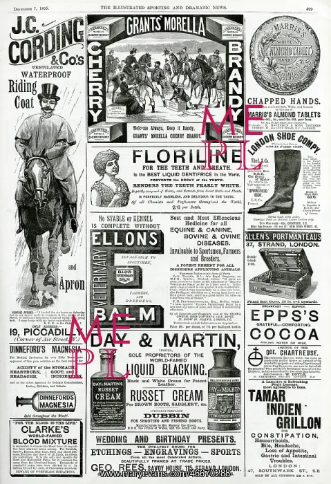 : Page of Victorian adverts 1895 : Page of Victorian adverts 1895