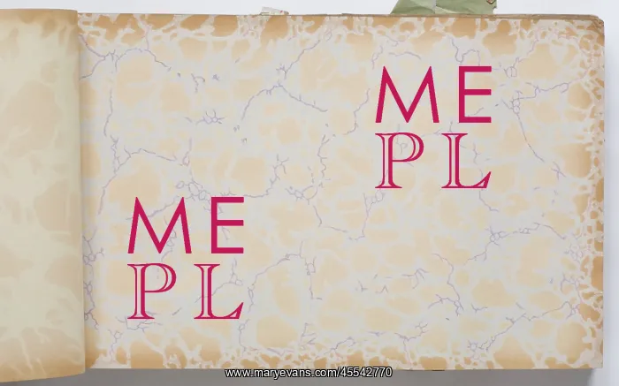 : Page from a wallpaper sample book : Page from a wallpaper sample book