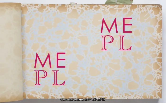 : Page from a wallpaper sample book : Page from a wallpaper sample book