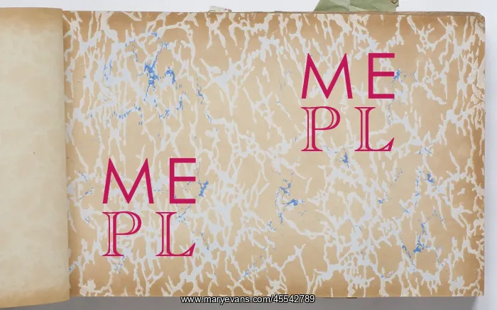 : Page from a wallpaper sample book : Page from a wallpaper sample book