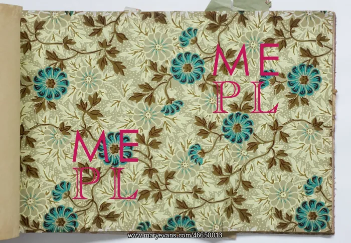 : Page from a wallpaper sample book : Page from a wallpaper sample book