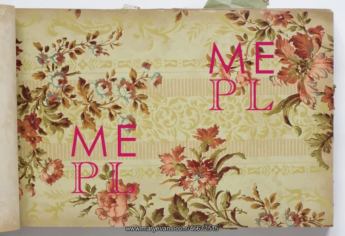 : Page from a wallpaper sample book : Page from a wallpaper sample book