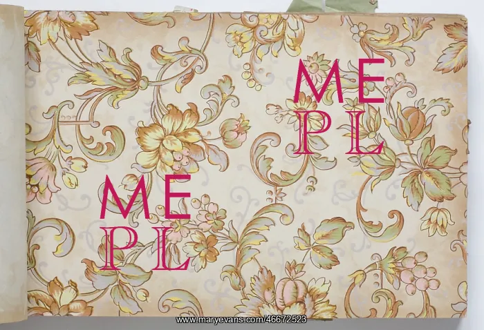 : Page from a wallpaper sample book : Page from a wallpaper sample book