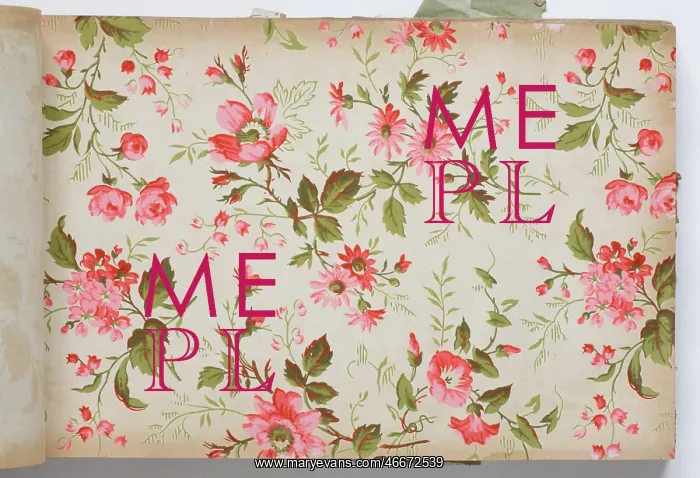 : Page from a wallpaper sample book : Page from a wallpaper sample book
