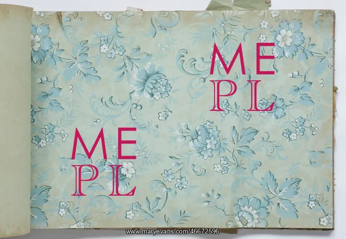 : Page from a wallpaper sample book : Page from a wallpaper sample book