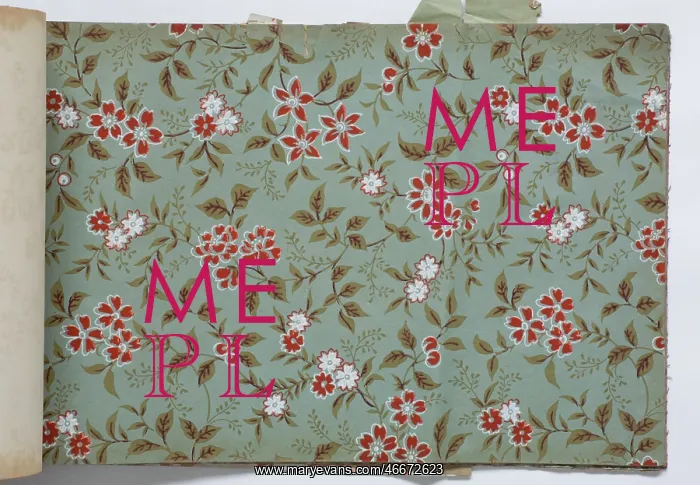 : Page from a wallpaper sample book : Page from a wallpaper sample book