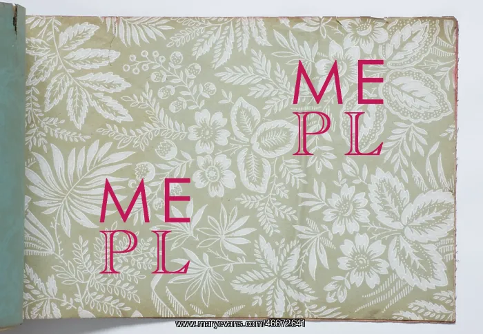 : Page from a wallpaper sample book : Page from a wallpaper sample book