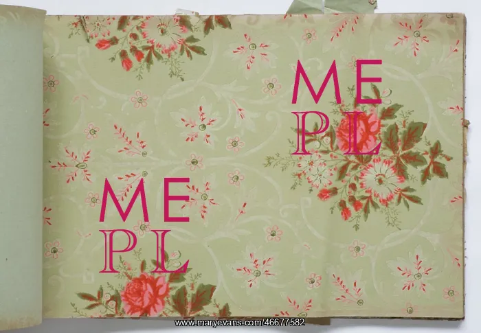 : Page from a wallpaper sample book : Page from a wallpaper sample book
