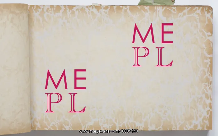 : Page from a wallpaper sample book : Page from a wallpaper sample book