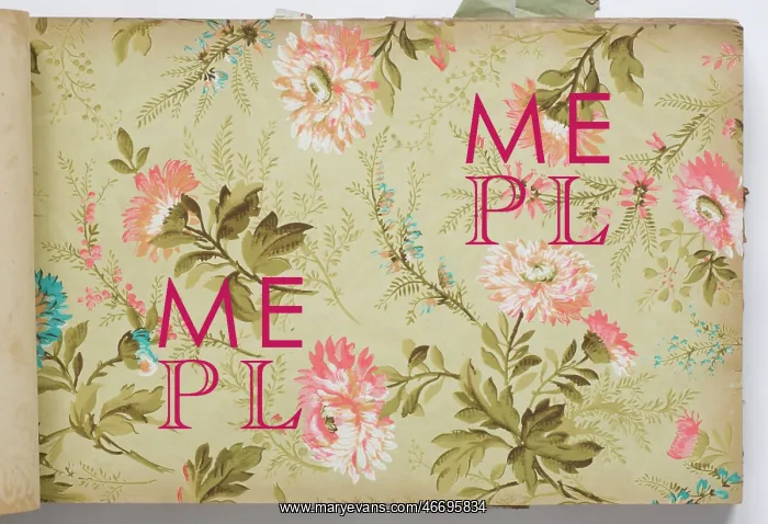 : Page from a wallpaper sample book : Page from a wallpaper sample book