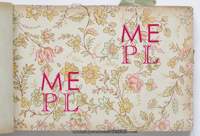 : Page from a wallpaper sample book : Page from a wallpaper sample book