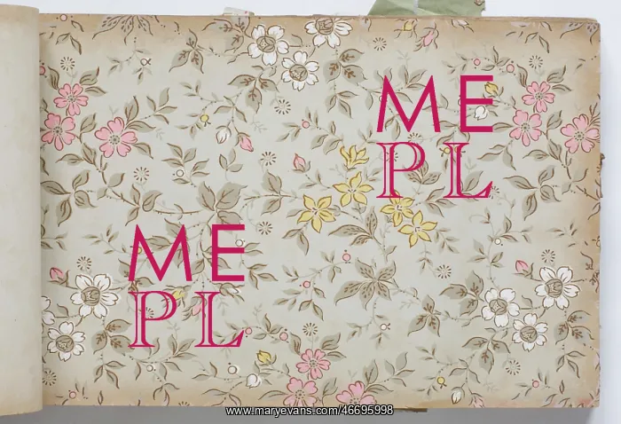 : Page from a wallpaper sample book : Page from a wallpaper sample book