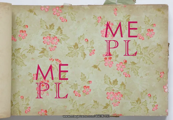 : Page from a wallpaper sample book : Page from a wallpaper sample book