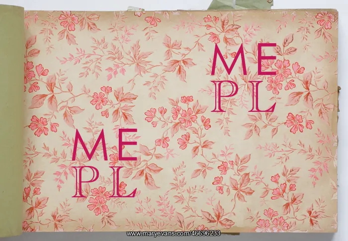 : Page from a wallpaper sample book : Page from a wallpaper sample book