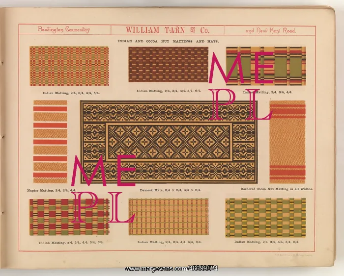 : Page from William Tarn and Co.'s Illustrated Catalogue: wit : Page from William Tarn and Co.'s Illustrated Catalogue: wit