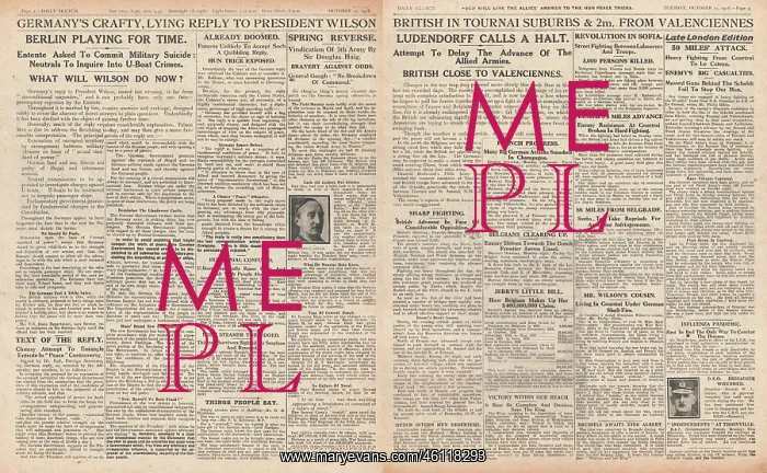 : pages 2 and 3 Germany's peace reply to President Wilson : pages 2 and 3 Germany's peace reply to President Wilson