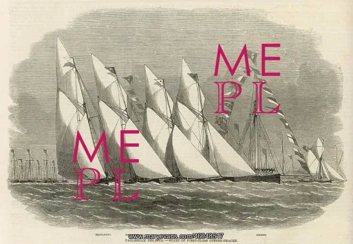 : Paglesham Regatta : Paglesham Regatta