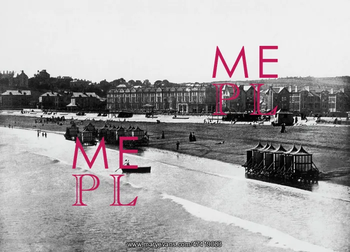  : Paignton, Devon