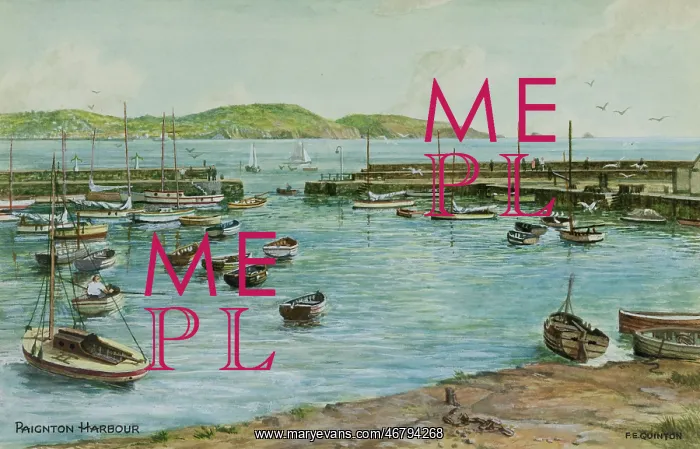 : Paignton Harbour, Devon : Paignton Harbour, Devon