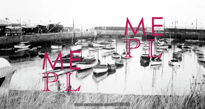  : Paignton Harbour, Devon