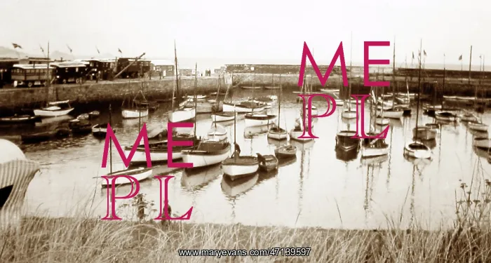  : Paignton Harbour, Devon