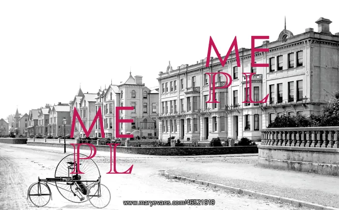  : Paignton, Park Hotel 1889