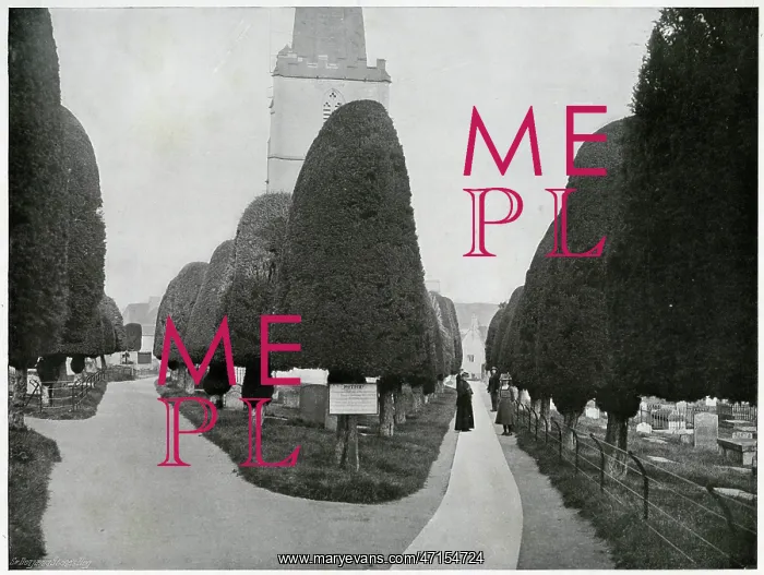 : Painswick Clipping 1902 : Painswick Clipping 1902