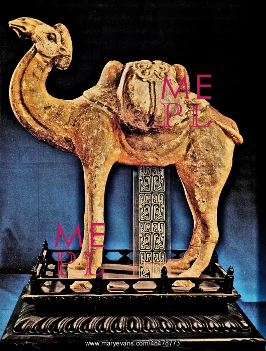 : Painted Camel : Painted Camel