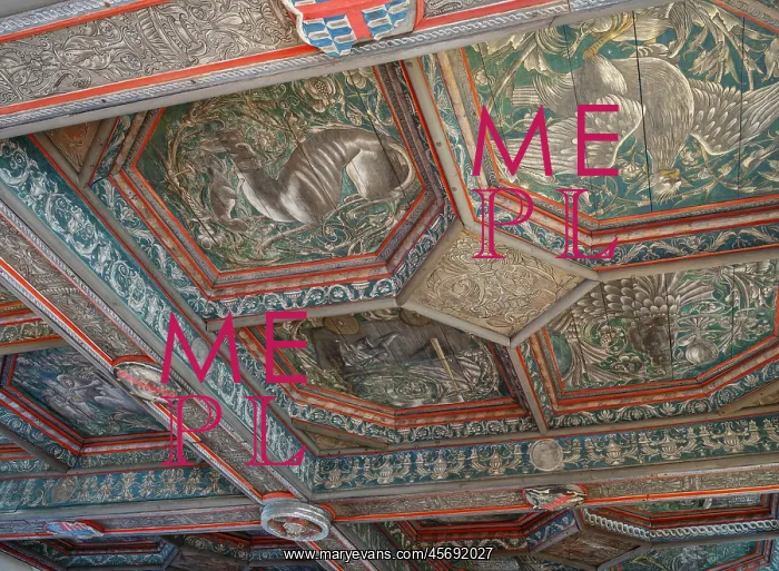 : Painted ceiling, Salle des Gardes, Chateau du Plessis-Bourre : Painted ceiling, Salle des Gardes, Chateau du Plessis-Bourre