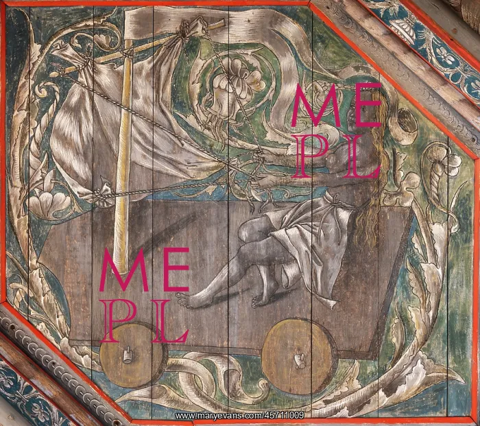: Painted ceiling, Salle des Gardes, Chateau du Plessis-Bourre : Painted ceiling, Salle des Gardes, Chateau du Plessis-Bourre