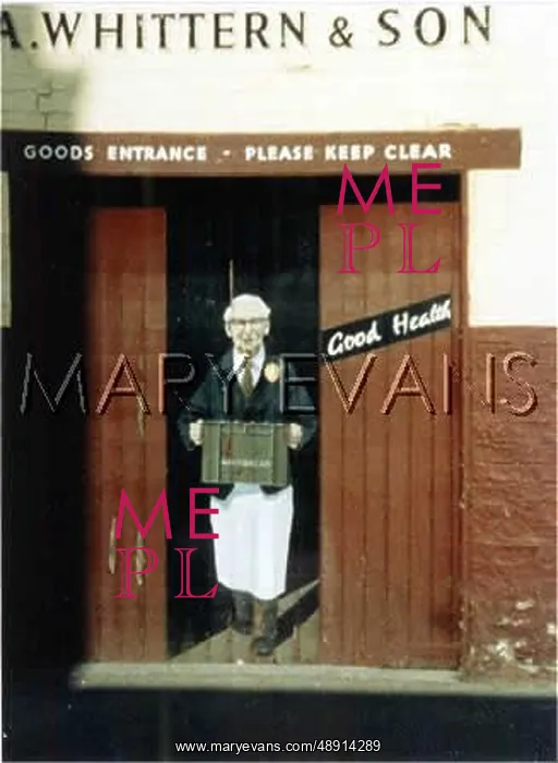 : PAINTED DOORS, CHELTENHAM : PAINTED DOORS, CHELTENHAM