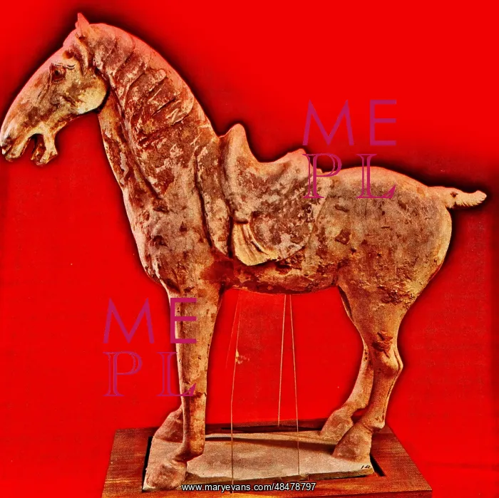 : Painted Horse : Painted Horse
