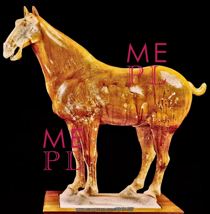 : Painted Horse : Painted Horse