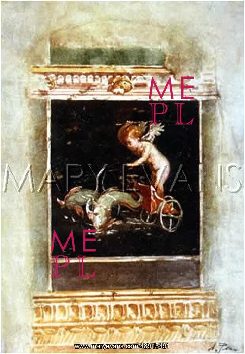: PAINTED PANEL-POMPEII : PAINTED PANEL-POMPEII