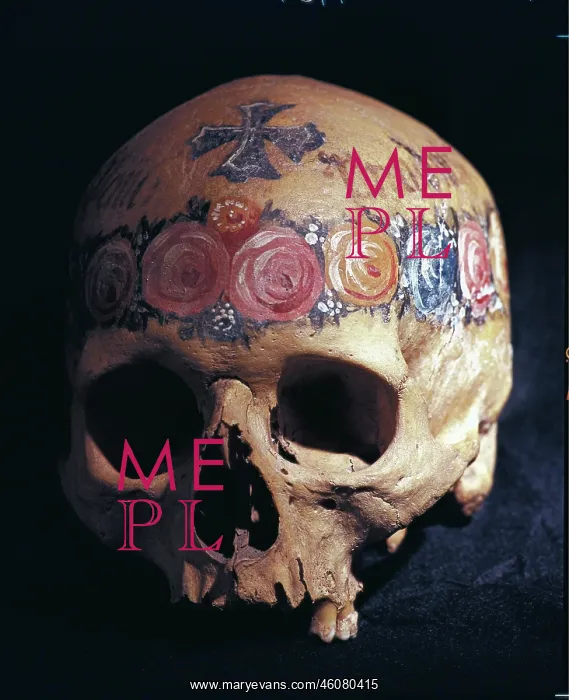 : Painted skull as evidence of a primitive skull : Painted skull as evidence of a primitive skull