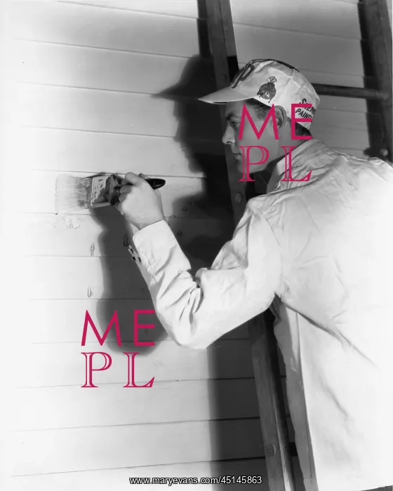  : Painter too