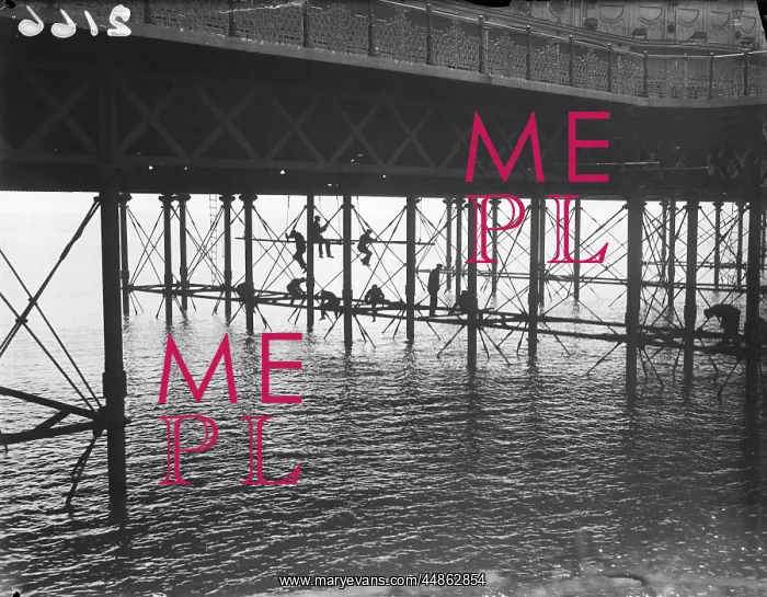  : PAINTING BRIGHTON PIER