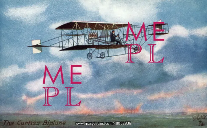 : A painting of the Curtiss-Herring No 1 : A painting of the Curtiss-Herring No 1