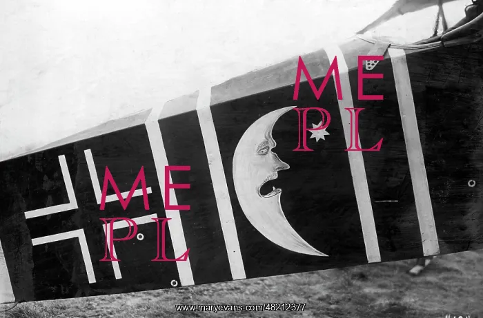 : Painting on the hull of a German fighter, 1918 : Painting on the hull of a German fighter, 1918
