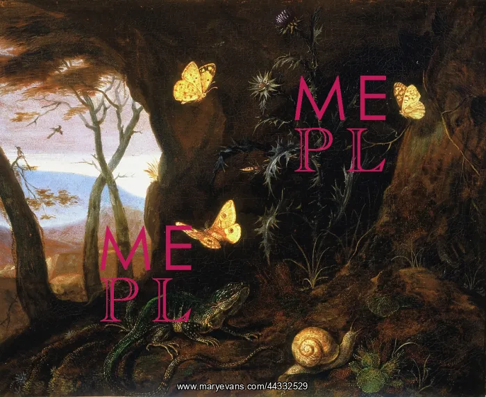 : Painting by Otto Marseus Van : Painting by Otto Marseus Van