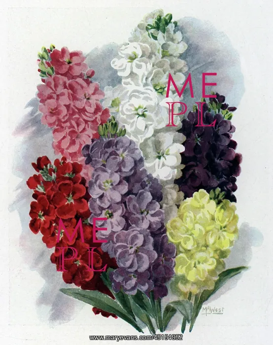 : Painting of Stocks : Painting of Stocks