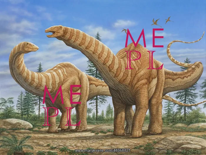 : A pair of Apatosaurus dinosaurs : A pair of Apatosaurus dinosaurs
