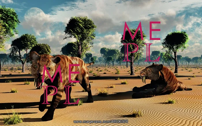 : A pair of carnivorous Sabre-Tooth Tigers : A pair of carnivorous Sabre-Tooth Tigers