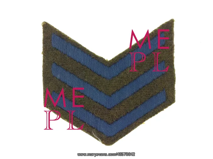 : One of a pair of chevrons, service (blue) : One of a pair of chevrons, service (blue)