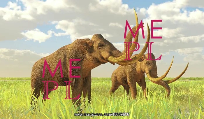 : A pair of Columbian mammoths on a grassy plain : A pair of Columbian mammoths on a grassy plain